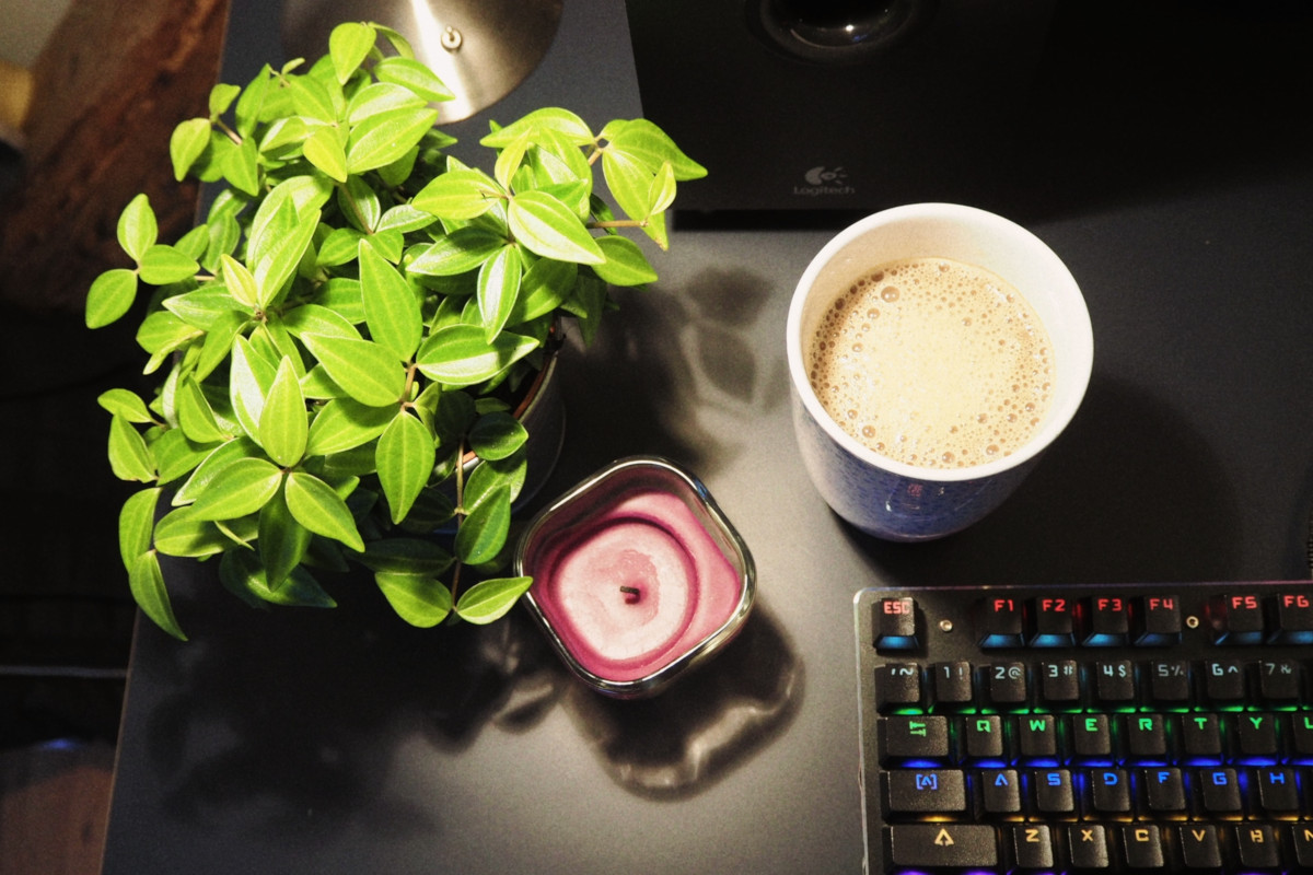 Photo of plant and candle